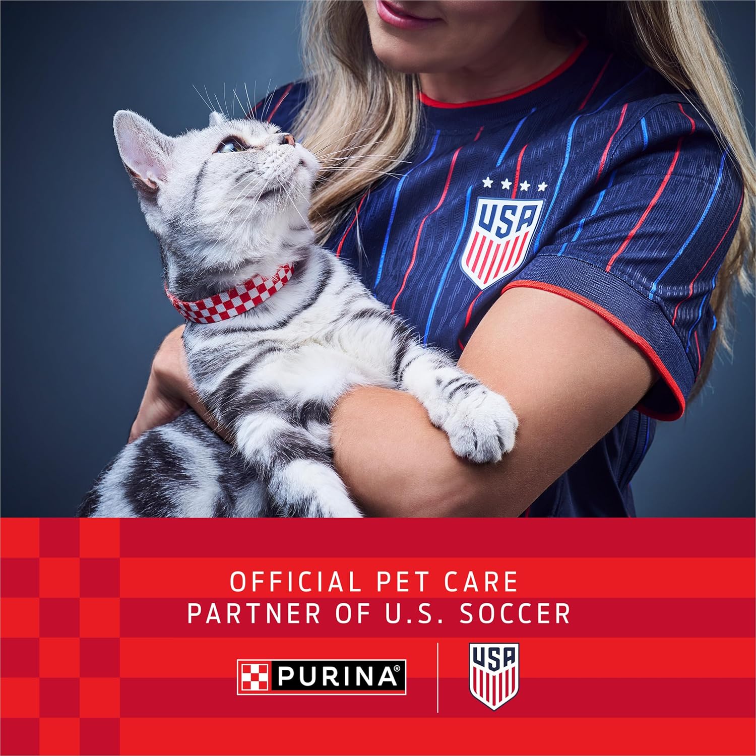 Purina Fancy Feast Gravy Lovers, Poultry & Beef Wet Cat Food, 3oz, 24-Pack | Variety Pack, grilled gourmet texture made with no artificial colors or preservatives, 100 percent complete and b image 3