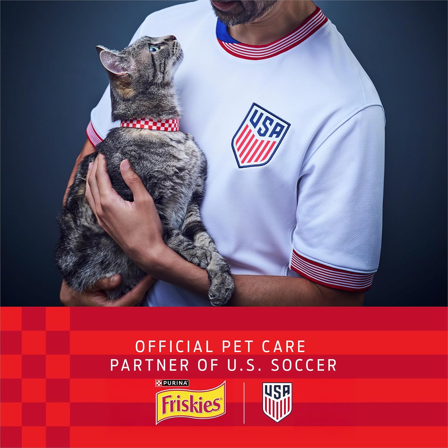 Purina Friskies Prime Filets Cat Food Variety Pack, 48 Ct Cans | Surfin' and Turfin' favorites in a savory gravy, made with real meat, poultry and seafood. 100% balanced nutrition image 3