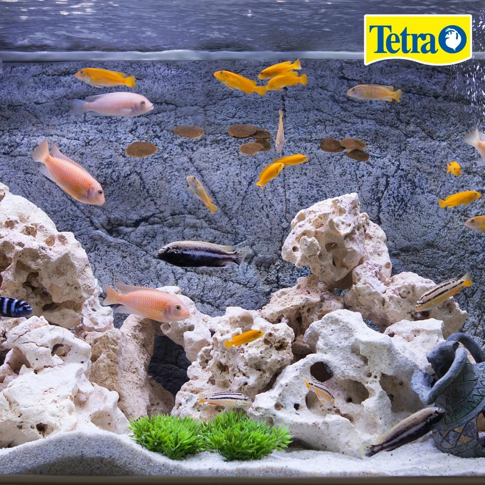 Tetra Cichlid Crisps, Nutritionally Balanced Fish Food for All Top and Mid-Water Cichlids, 8.82 oz image 3