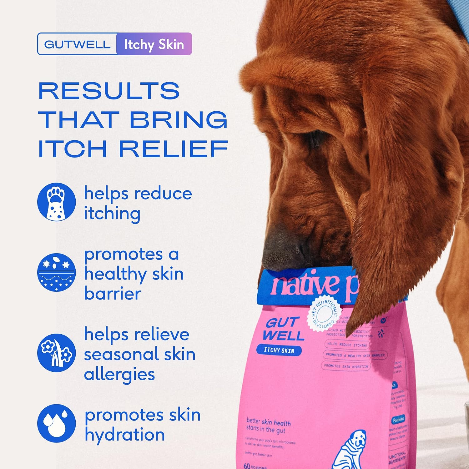 Native Pet Itchy Skin - Dog Itching Skin Relief - Vet-Formulated Gut-Skin Support, Seasonal Allergies, Healthy Skin Barrier - 60 Scoops image 3