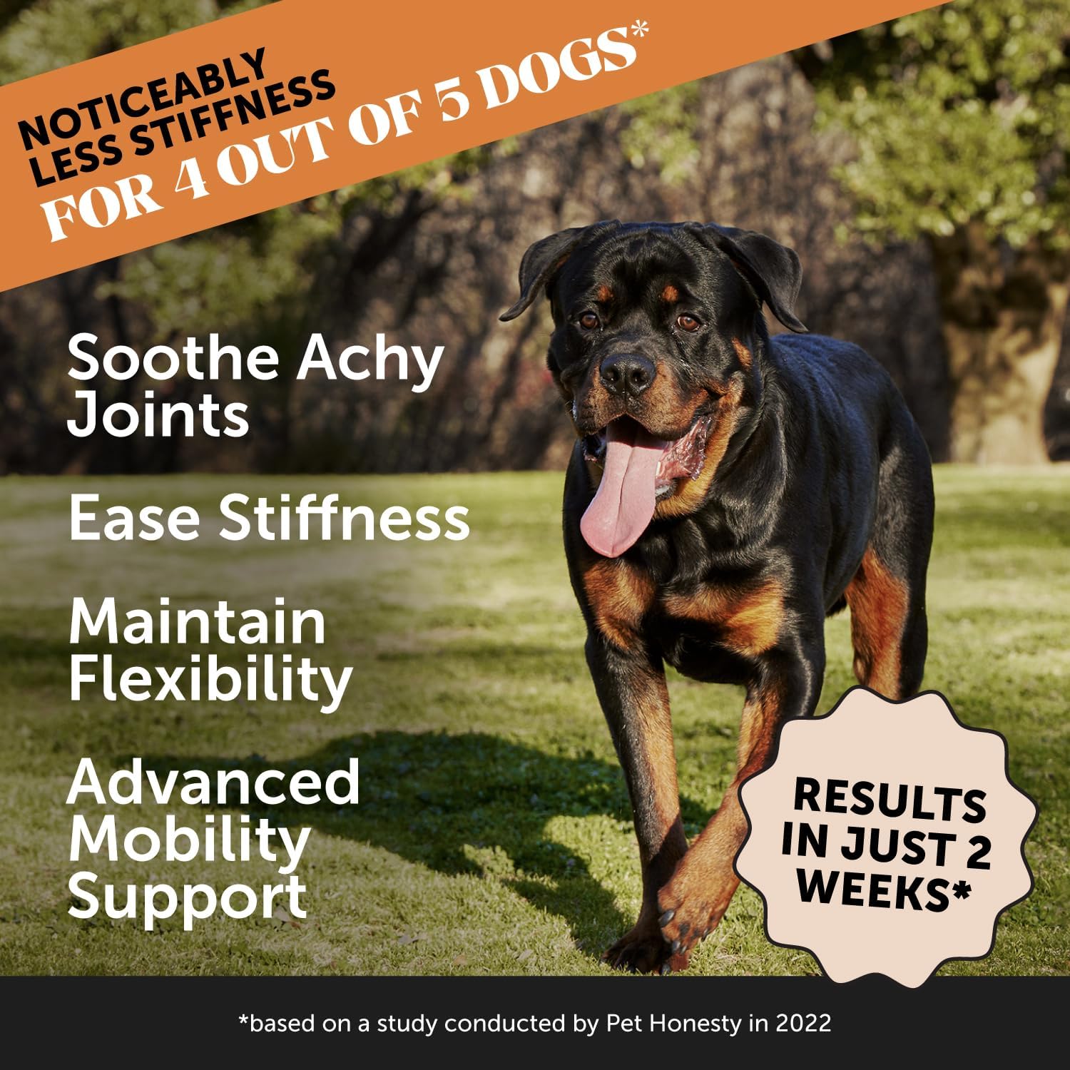Advanced Formula Hip + Joint Supplement for Dogs - Joint Support with Glucosamine Chondroitin, MSM & Calcium Fructoborate - Fast Acting Mobility + Stiffness for Large Dogs & Seniors (Bacon 9 image 3