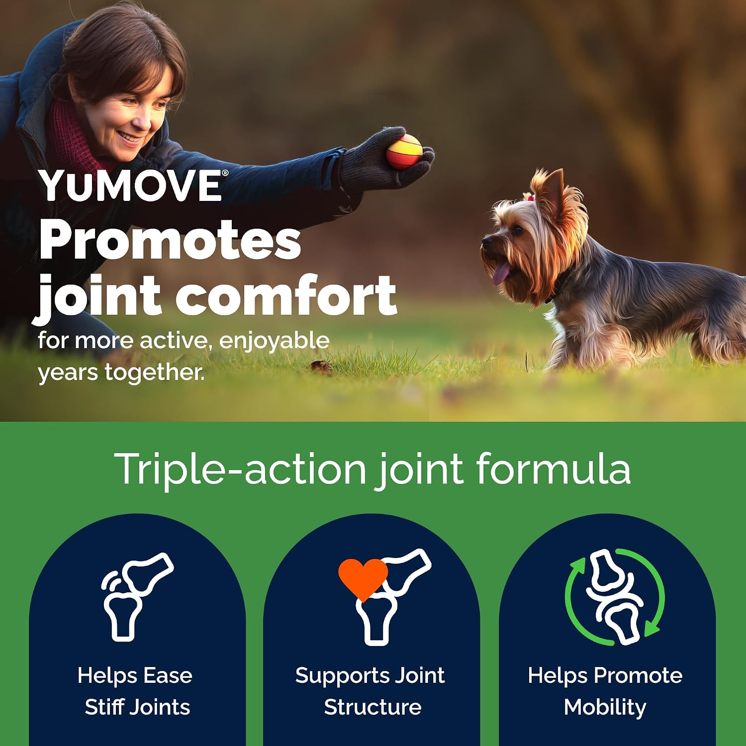 YuMOVE Small Dog Hip & Joint Soft Chews, ActivEase Green Lipped Mussel | Glucosamine for Dogs, Hyaluronic Acid & Omega 3 Chews for Small & Medium Dogs, Hickory Seafood Flavor, NASC Certified image 3