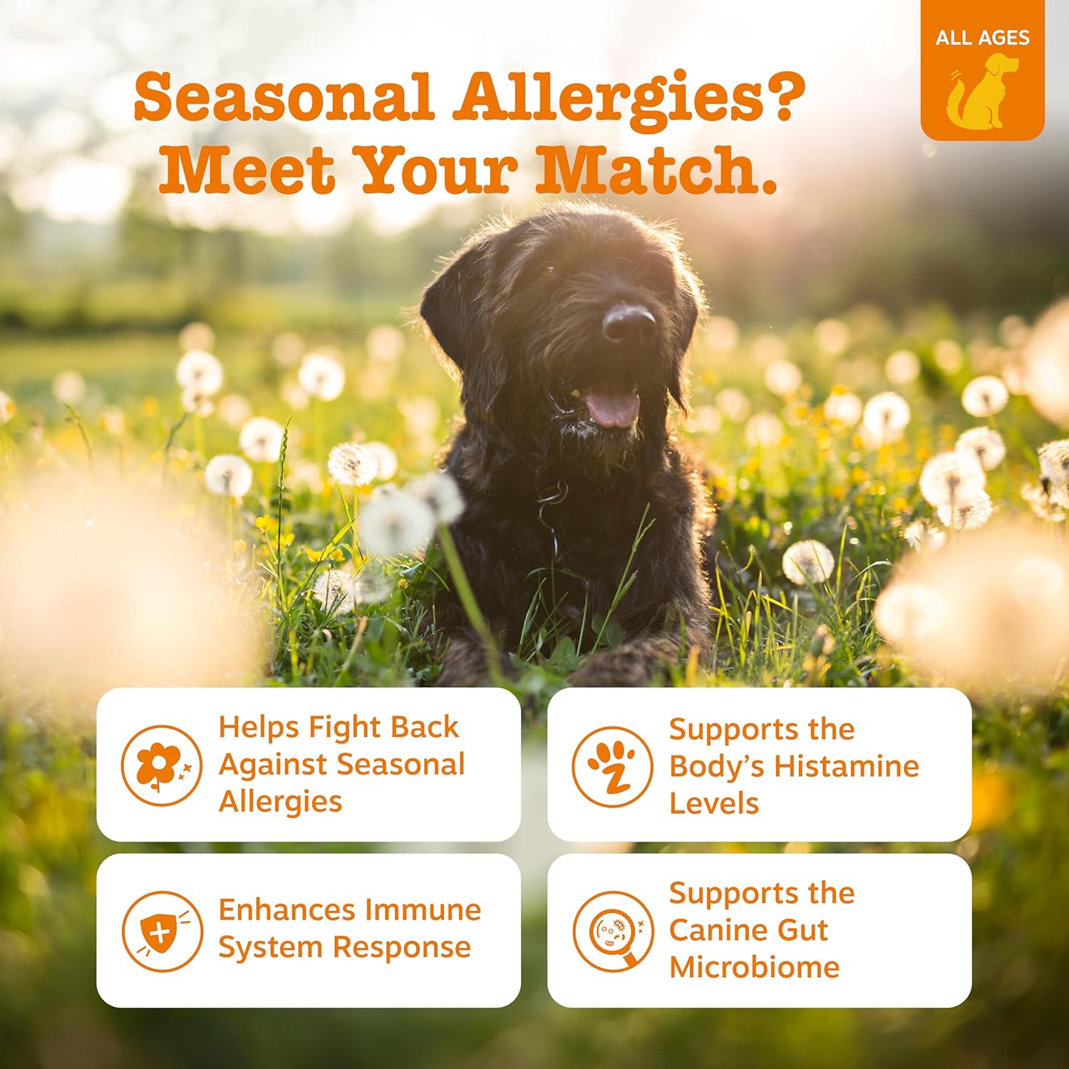 Zesty Paws Dog Allergy Relief Chews, Dog Probiotics for Itchy Skin and Ears, Salmon, 90ct image 3