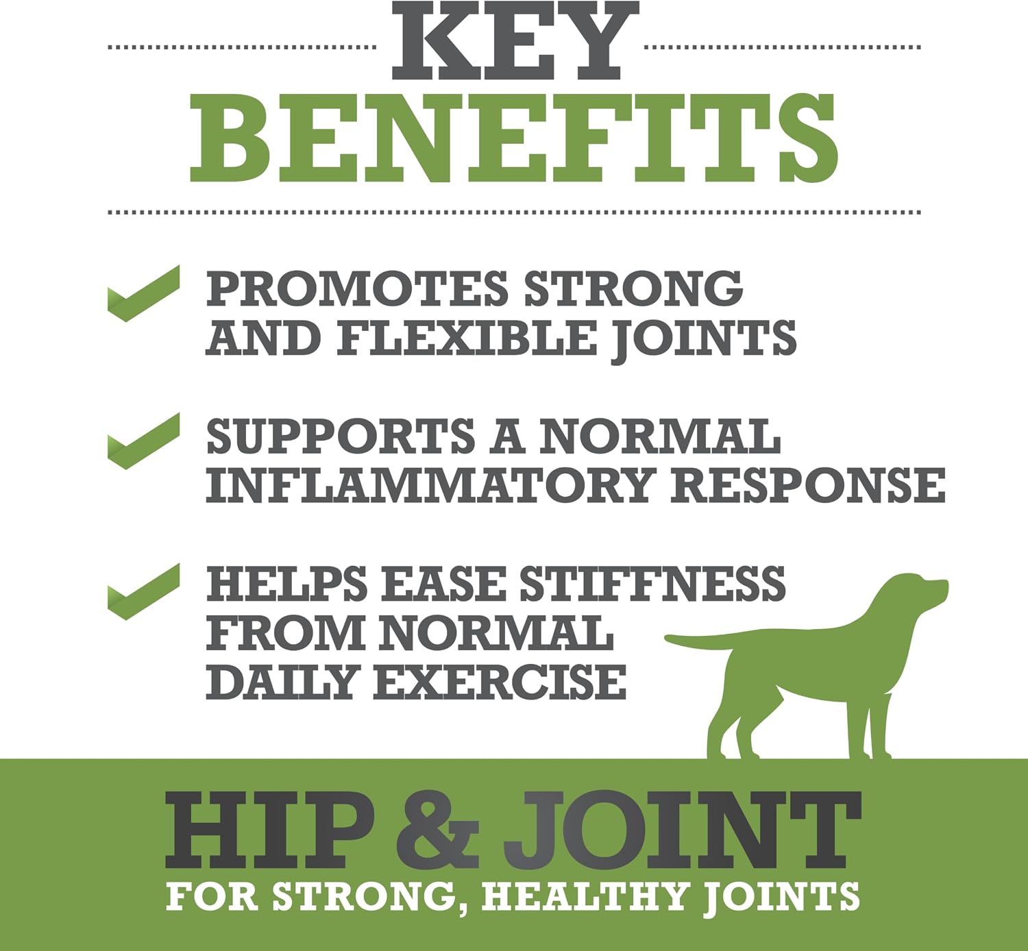 WINPRO Hip & Joint Supplement for Dogs - Plasma Powered Soft Chews for Joint Health & Mobility – Fast-Acting with Collagen & Natural Ingredients for Dogs of All Breeds – 60 Chews image 3