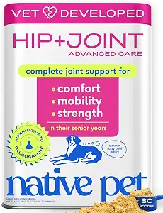Native Pet Hip and Joint Supplement Dogs - Powder with UC-II Collagen and HMB - Senior and Large Breed Dog Joint Support - Made in USA - 30 Scoops