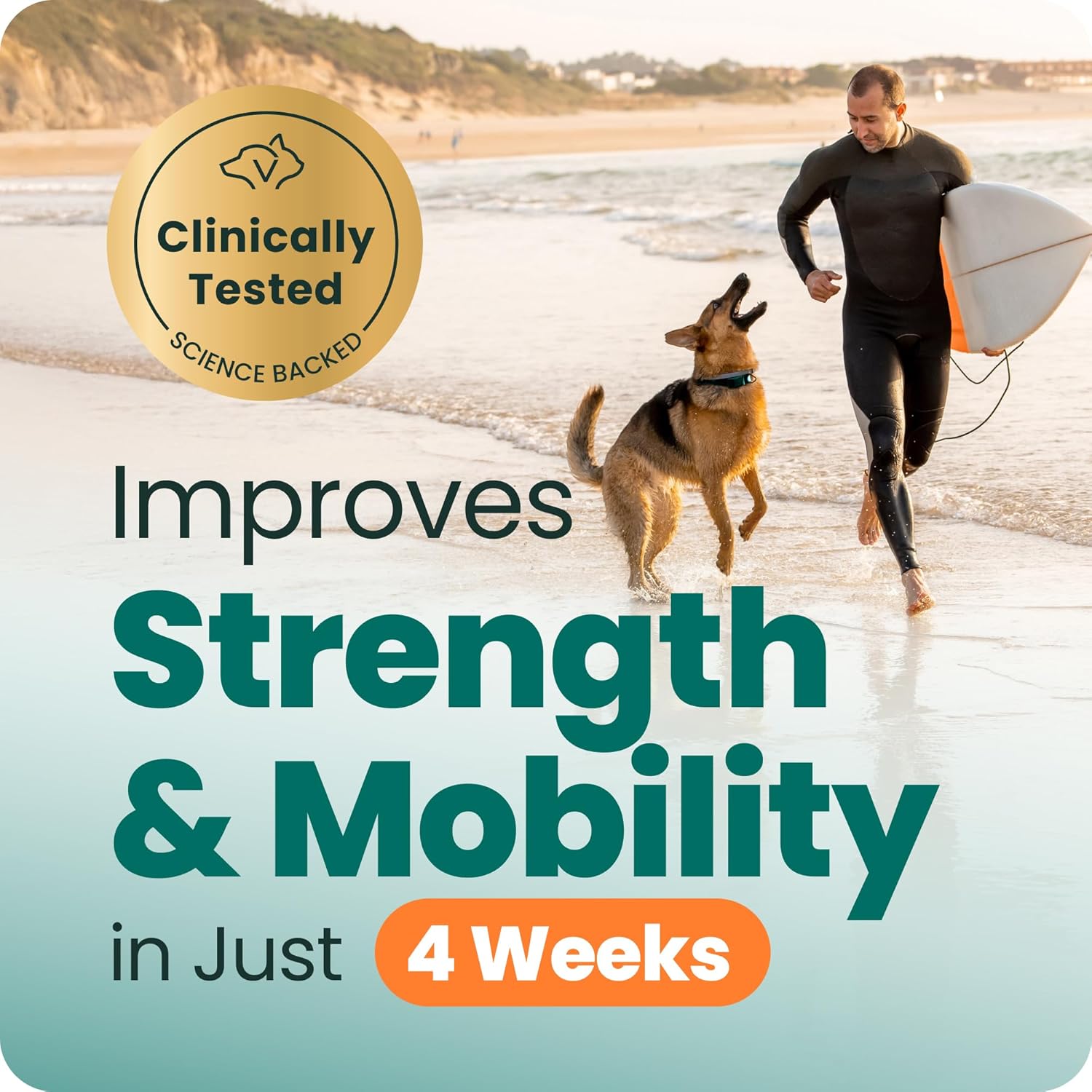 VetriScience Extra Strength Hip & Joint Supplement for Dogs – Supports Joint Health & Mobility, Vet-formulated w/Glucosamine, MSM & Green-Lipped Mussel – Chicken Flavor, 120 Chews image 3