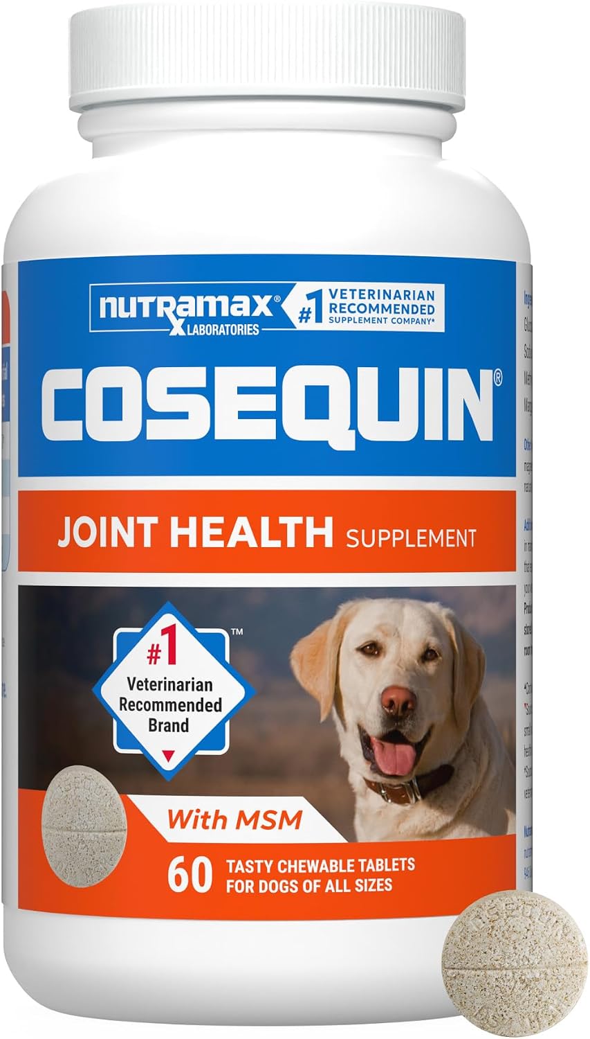 Nutramax Cosequin Joint Supplement, Glucosamine for Dogs, Chew Tabs, 60ct | Glucosamine & Chondroitin for Dogs, Supports Healthy Joints, Chewable Tablets for All Breeds & Sizes, All Ages image 2