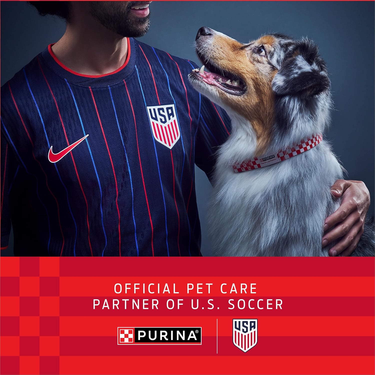 Purina Pro Plan Veterinary Supplements FortiFlora Probiotic Powder for Dogs, Daily Support for Digestive and Immune Health and Occasional Diarrhea image 3